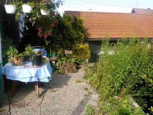 Teichbau 1 11