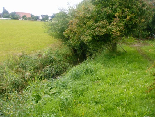 Teichbau 1 9